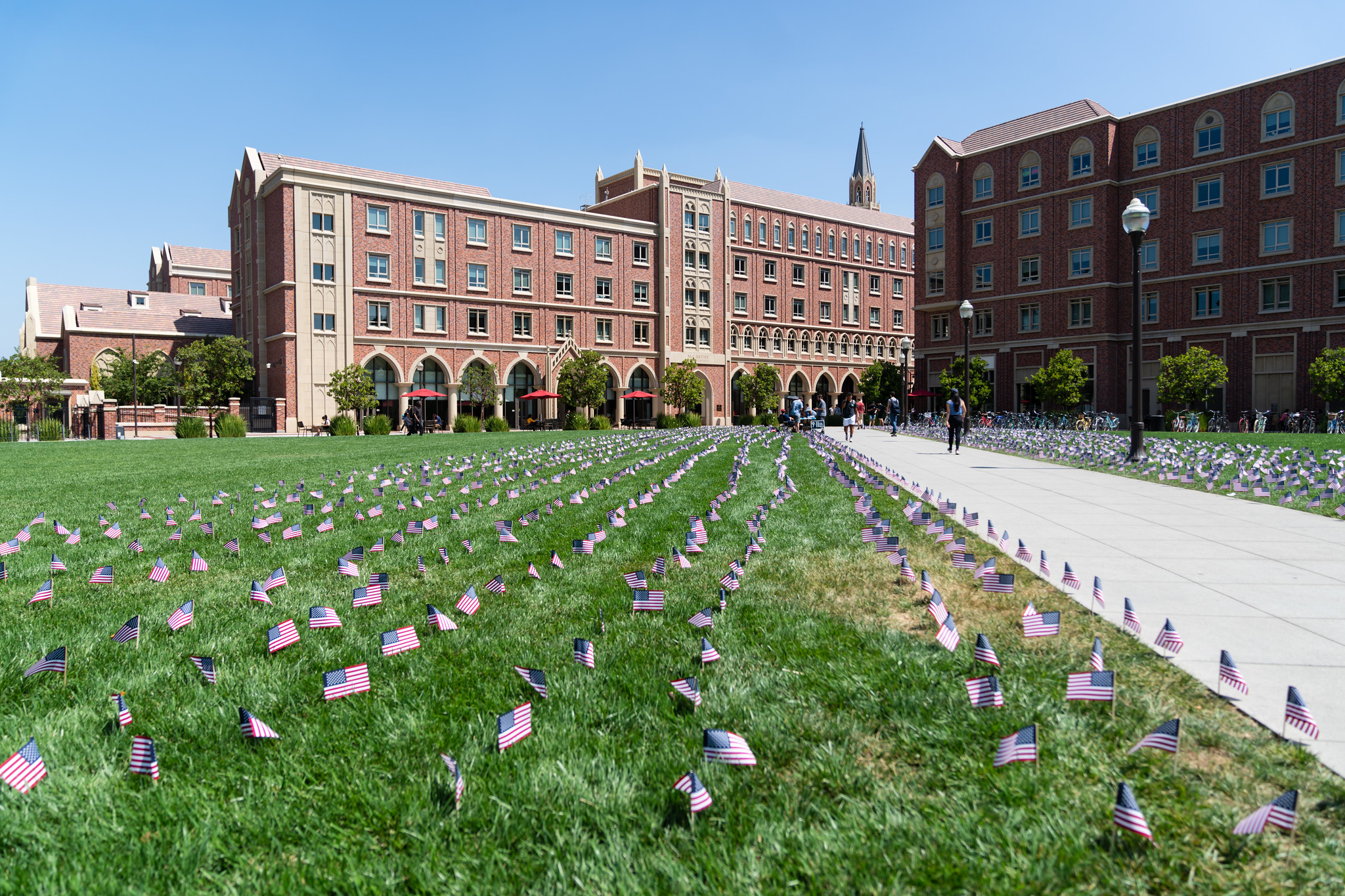 Universities in Los Angeles: Best 5 Colleges in Los Angeles